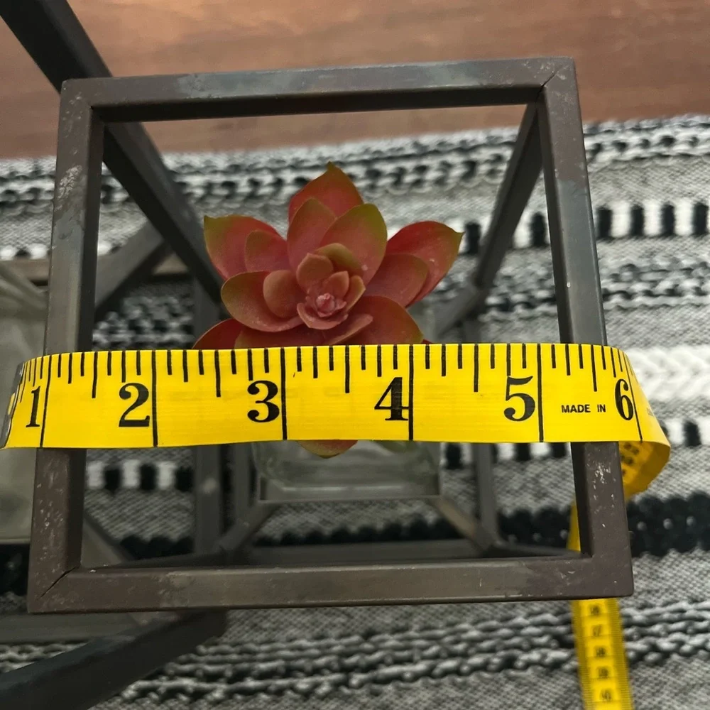 Set of 2.  Modern Black Metal Frame with Red Succulent Accent - Magnolia Home - Picture 3 of 3